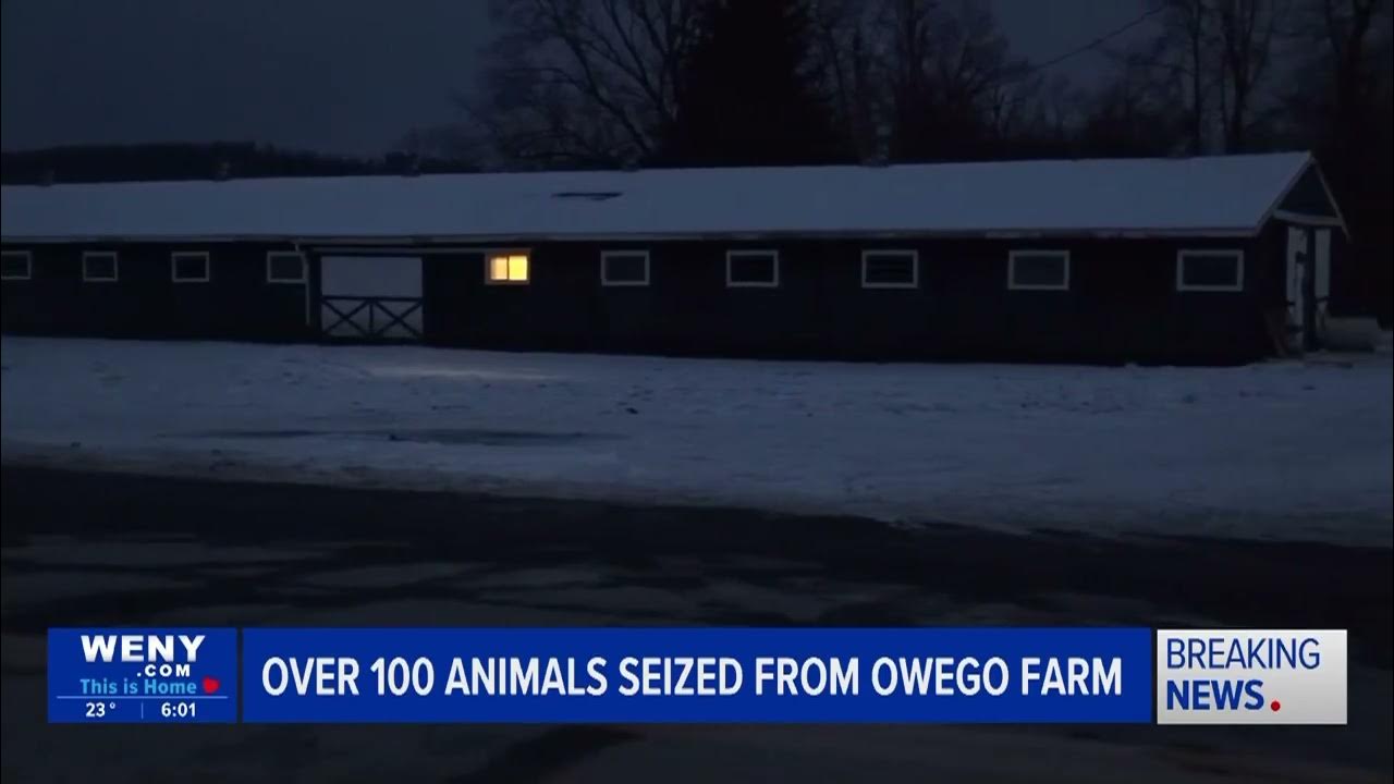 Owego News